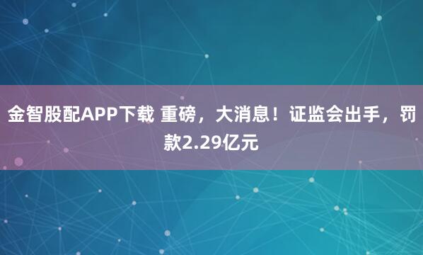 金智股配APP下载 重磅，大消息！证监会出手，罚款2.29亿元