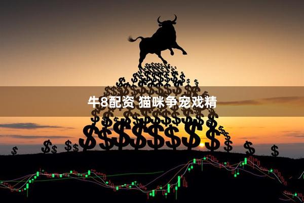 牛8配资 猫咪争宠戏精